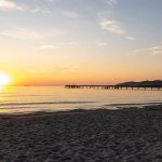 Cosa non perdere in Calabria le imperdibili attrazioni da scoprire